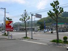 �N�_���ƂȂ鏼�g�n���̂q286�������_